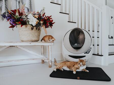 elektrische kattenbak