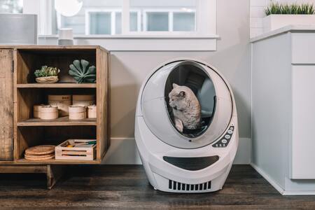 zelfreinigende kattenbak
