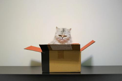 goedkope kattenbakvulling