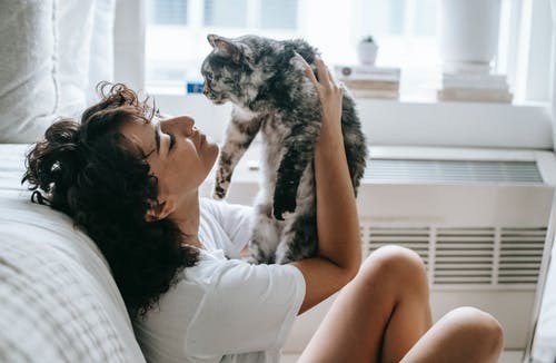 radiatorhangmat kat