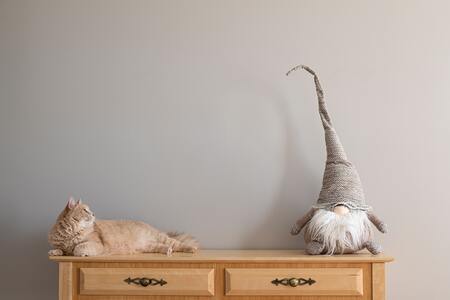 ombouw kattenbak