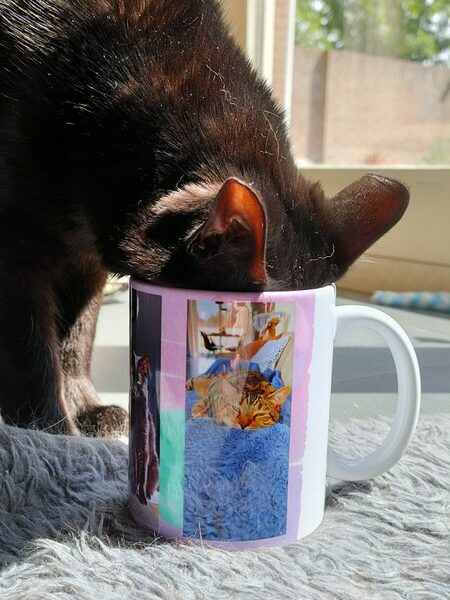 cadeau kat