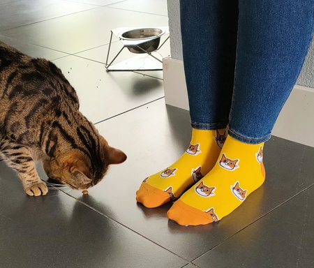 kattensokken