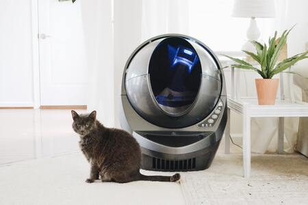 zwarte kattenbak