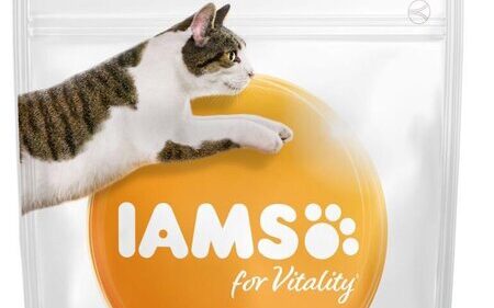 iams kattenvoer aanbieding