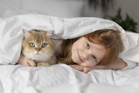 feliwayclassic