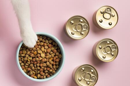 placemat katten