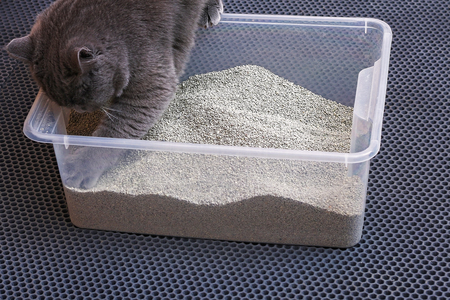 kattenbak imac