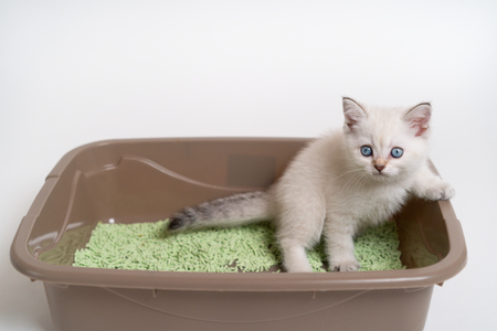 moderna kattenbak flip cat jumbo