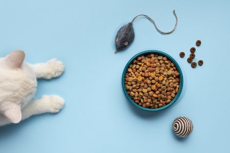 voorraadbus kattenvoer