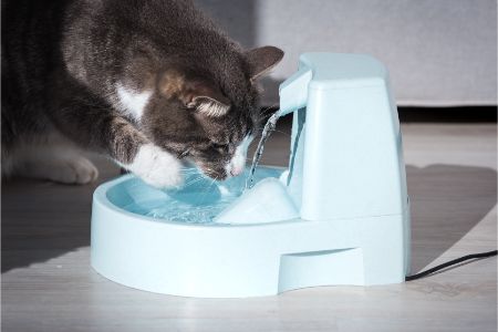 catit drinkfontein rvs