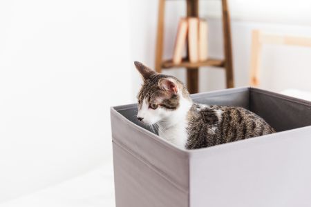 koelmat kat pets place alternatief