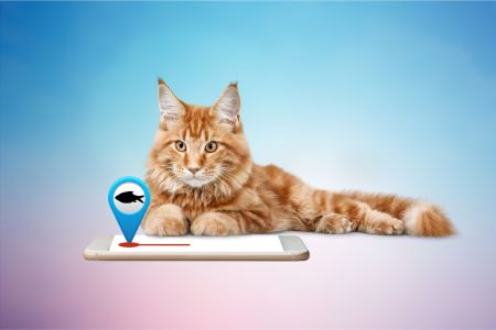 tracker katten
