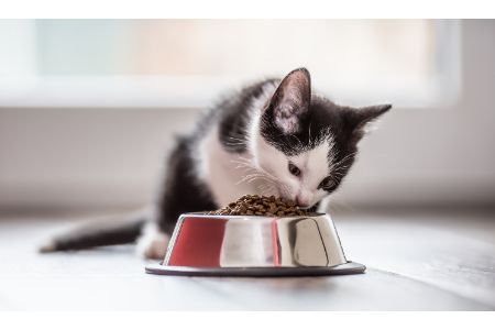 welkoop kattenvoer aanbieding alternatief