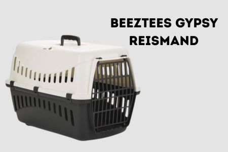 beeztees gypsy reismand review