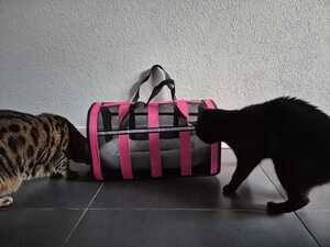 lvs supplies kattenreismand