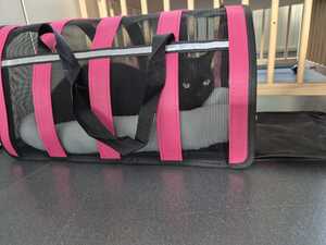 opvouwbare kattenreismand