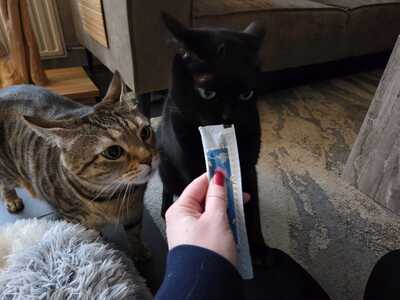 Tommie the Cat liquid kattensnack